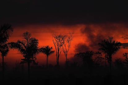 Humo se desprende de un fuego ilegal de la selva del Amazonas en el norte de Sinop en Mateo Grosso, el martes 11 de agosto.