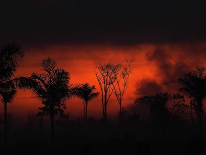 Humo se desprende de un fuego ilegal de la selva del Amazonas en el norte de Sinop en Mateo Grosso, el martes 11 de agosto.