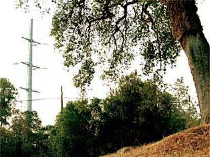 Línea eléctrica de Les Gavarres entre Llagostera y Romanyà de la Selva.