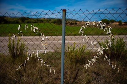 Lazos amarillos descoloridos en una valla cercana a la cárcel de Lledoners, donde pasaron parte de su condena algunos líderes del 'procés'.