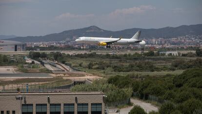 Un avión sobrevuela la zona natural de la Ricarda, junto al aeropuerto de El Prat de Barcelona.MASSIMILIANO MINOCRI / EL PAÍS