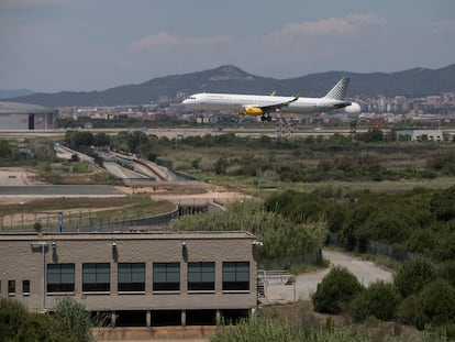 Un avión sobrevuela la zona natural de la Ricarda, junto al aeropuerto de El Prat de Barcelona.MASSIMILIANO MINOCRI / EL PAÍS