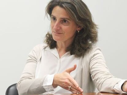 Teresa Ribera, directora del Instituto de Desarrollo Sostenible y Relaciones Internacionales (Iddri)