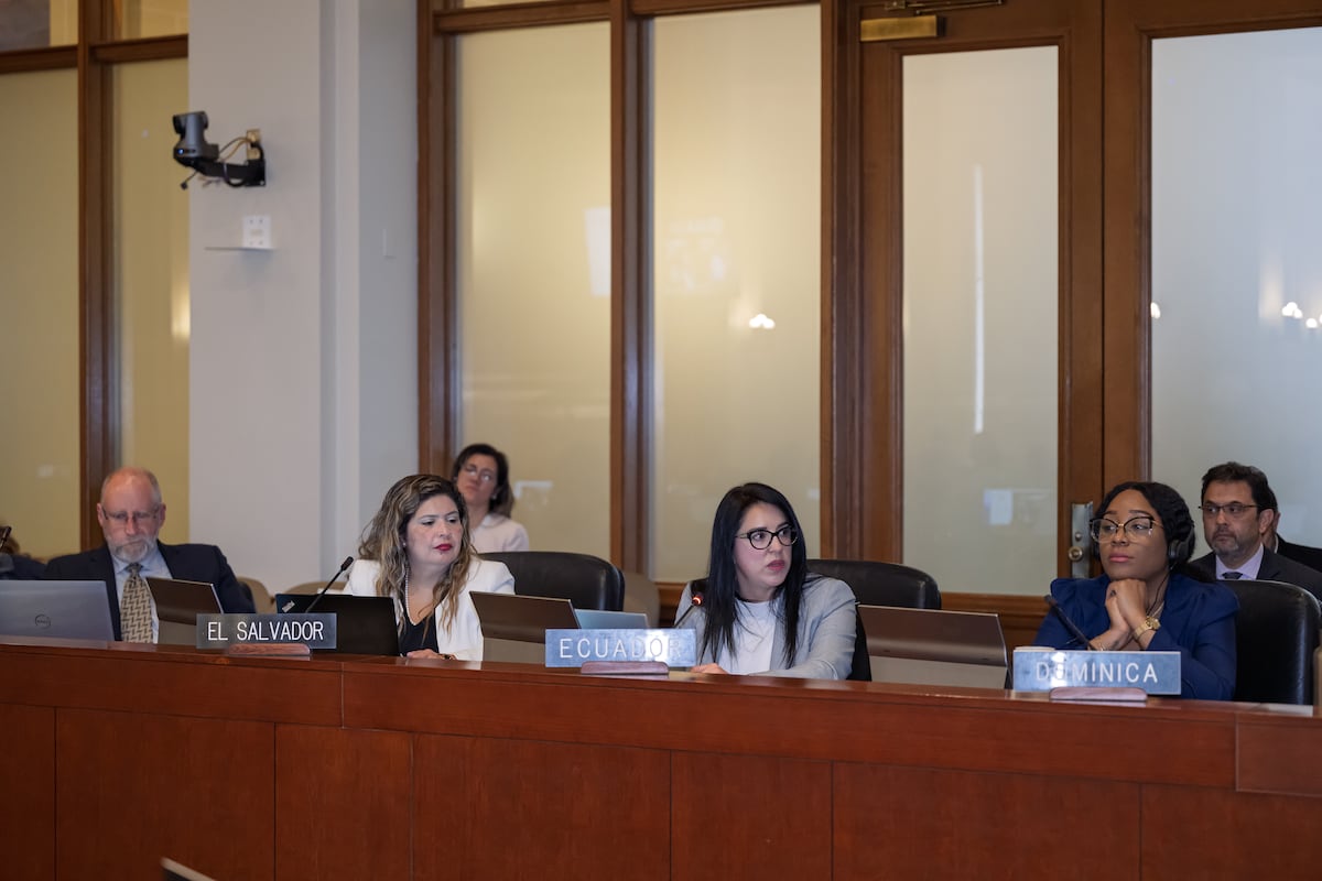 Una OEA para las mujeres de la región: el multilateralismo como aliado de  la igualdad | EL PAÍS América