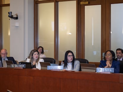 Reunión ordinaria del Consejo Permanente de la OEA, en Washington, el 19 de febrero