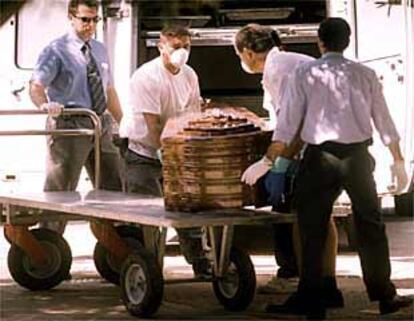 Miembros del retén fúnebre introducen ayer el cuerpo de Vicenta Ibáñez en el furgón judicial.