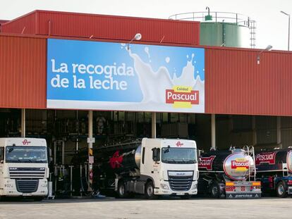 Planta del grupo Pascual en Aranda del Duero. 