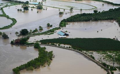 El desbordamiento de ríos también ha afectado extensas zonas de cultivo en Honduras.