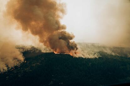 Incendio en el área de Baie Pnicouane en Quebec, Canadá, el 4 de junio.