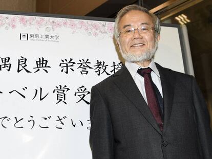 El científic japonès Yoshinori Ohsumi.