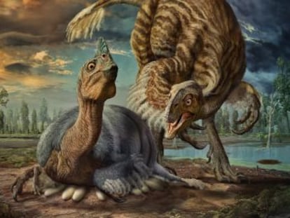Se trata del famoso fósil ‘Baby Louie’, que los científicos llevaban tres décadas intentando identificar