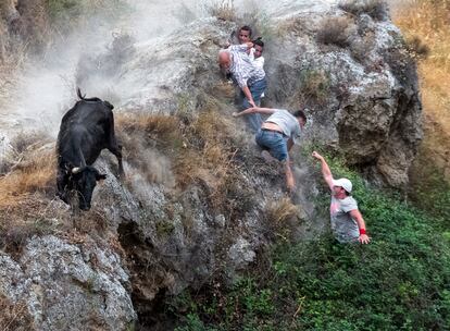 Varios corredores y una res brava, en el borde de un  barranco durante el tercer encierro del Pilón, celebrado este martes en Falces (Navarra). Una persona ha sido trasladada al hospital por una cornada en la parte interior del muslo. El encierro del Pilón, declarado fiesta de interés turístico, discurre por un estrecho y escarpado recorrido de 800 metros cuesta abajo, con el muro de la montaña a un lado y el barranco, al otro.