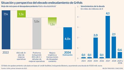 Situación y perspectiva del elevado endeudamiento de Grifols