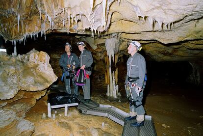 Imagen del documental <i>Cave of Forgotten Dreams,</i> de Werner Herzog, sobre la cueva de Chauvet-Pont-d&#39;Arc.