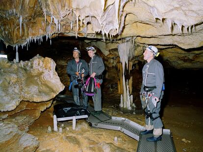 Imagen del documental <i>Cave of Forgotten Dreams,</i> de Werner Herzog, sobre la cueva de Chauvet-Pont-d'Arc.