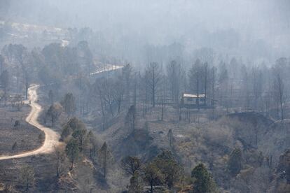 Una casa en medio de un territorio devastado por las llamas en el área limítrofe a la ciudad de Saltillo.