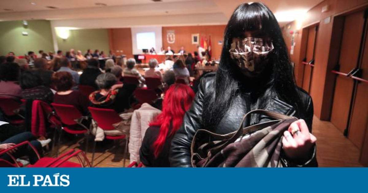 didi-leona-una-grafitera-interviene-en-un-pleno-en-madrid-para