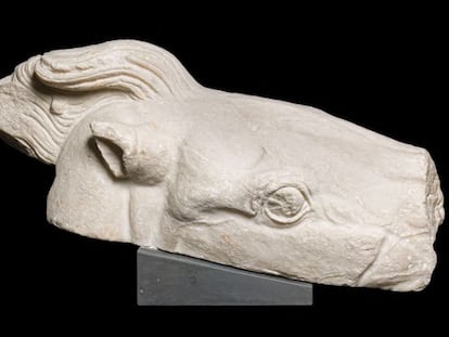 Una de las piezas que el Vaticano restituye a Grecia, la cabeza de caballo, que procede del frontón occidental del edificio.