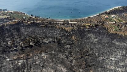 Colinas quemadas por uno de los incendios forestales de la isla griega de Eubea, el día 12.