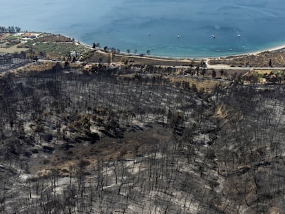 Colinas quemadas por uno de los incendios forestales de la isla griega de Eubea, el día 12.