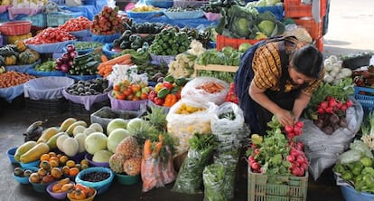 El precio internacional de los alimentos ha subido 4% en s&oacute;lo cuatro meses