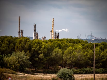 La fábrica de Iqoxe, en la Canonja (Tarragona), con Port Aventura al fondo.