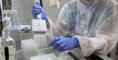 Trabajador de laboratorio trabaja con muestras de Covid-19, Alemania. 