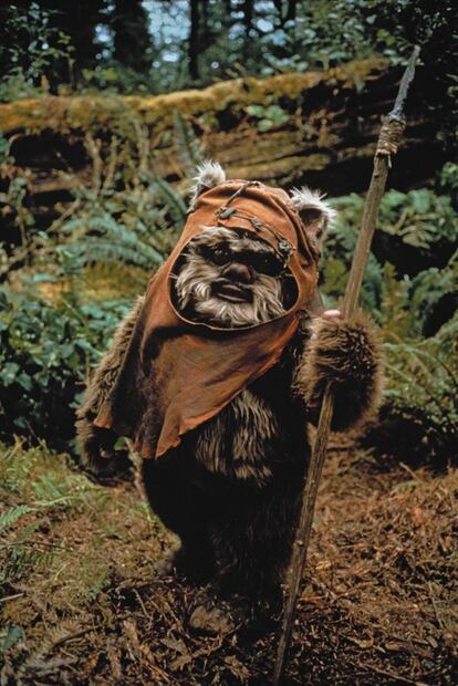 Ewok