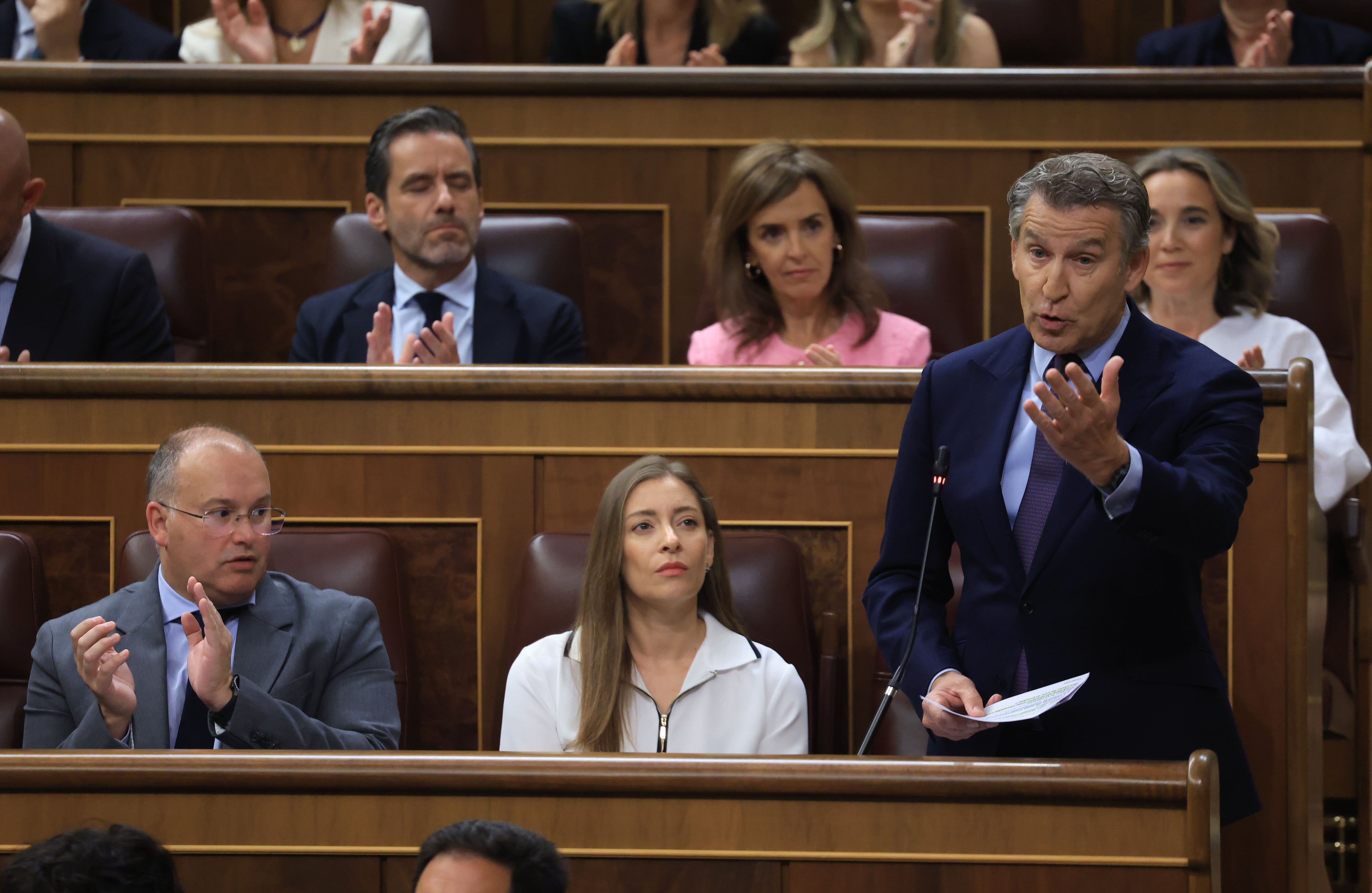 El líder del PP, Alberto Núñez Feijóo, durante su intervención.