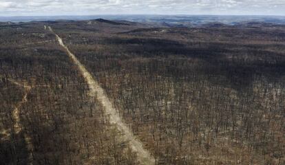 Vista aérea de un bosque quemado en Torrington, al este de Australia.
