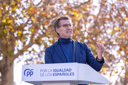 Alberto Núñez Feijóo, en la última manifestación contra la amnistía convocada por el PP, el pasado 3 de diciembre en Madrid.