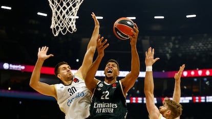 Tavares, entre Petrusev y Walkup.