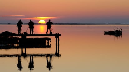 Atardecer en el Delta del Ebro, en Sant Carles de la Ràpita (Tarragona).