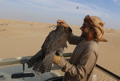An Emirati man holds a hunting falcon at the al-Marzoon Hunting reserve, 60 Kilometres south of Madinat Zayed,in the United Arab Emirates  on February 1, 2016. / AFP / KARIM SAHIB