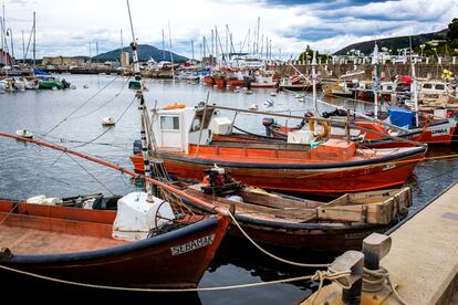 Barcos pesqueros en el puerto de Piriapolis (Uruguay).