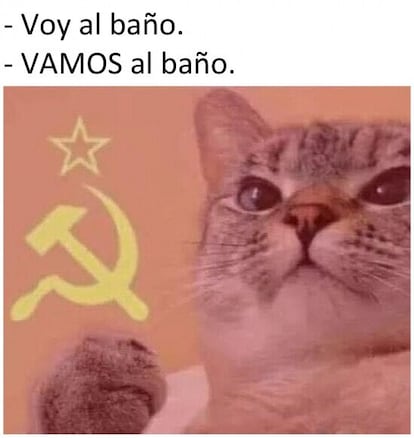 El gatito comunista que no te deja ir solo al cuarto del baño.