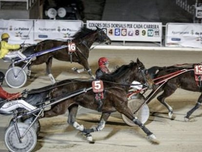 A harness race at the Son Pardo racetrack in Palma de Mallorca in 2013.