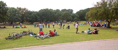 People enjoying the Alamillo park in Seville, in an image assigned by the park.