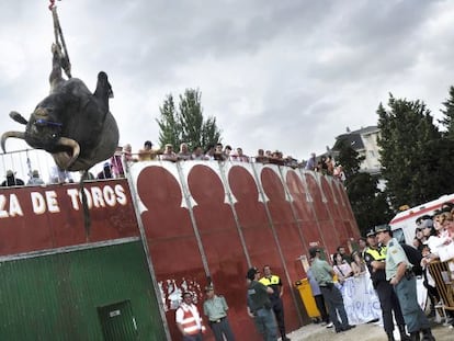 Uno de los toros de la &uacute;ltima corrida celebrada en Sarria, en 2009, es retirado con una gr&uacute;a ante la protesta que se desarrollaba fuera. 