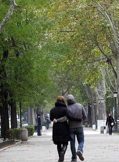 Los árboles del paseo del Prado mantienen todavía las hojas, que siguen estando de color verde.