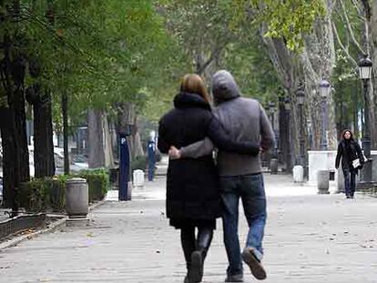 Los árboles del paseo del Prado mantienen todavía las hojas, que siguen estando de color verde.