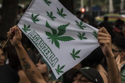 La lucha por la legalización de la marihuana lleva más de cinco años en México.