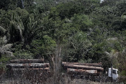 Um caminhão transporta madeira obtida ilegalmente na floresta amazônica, registrado em agosto deste ano.