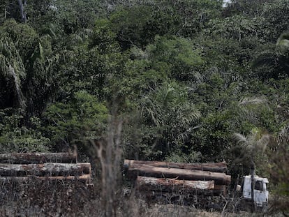 Un camión que transporta madera obtenida ilegalmente en la selva amazónica.