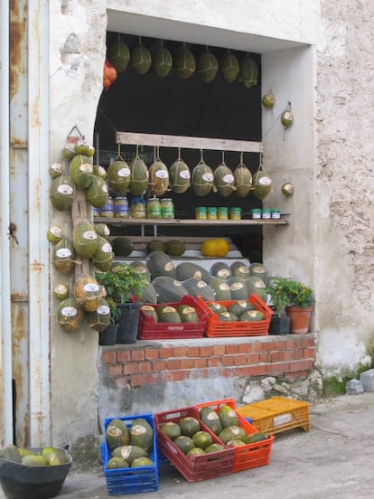 Villaconejos, al sur de la región, produce quizá la mejor cosecha de melones de España. El melón de Villaconejos es de la variedad de piel de sapo y se cultiva en las fértiles tierras de la comarca de Las Vegas: huertas y campos bañados por las aguas del Tajo y del Jarama. Cuenta la leyenda que un soldado llevó los melones a Villaconejos desde tierras africanas. Lo que sí se sabe con certeza es que en el siglo XVII ya eran conocidos. Las altas temperaturas diurnas y el frío nocturno hacen que en las horas de Sol el fruto absorba mucho azúcar y en la oscuridad de la noche respire, lo cual le aporta un sabor muy especial. Su producción es de 65.000 toneladas anuales, y cada 12 de octubre celebra la Fiesta del Melón. Y por supuesto, no falta su Museo del Melón, único en su género en el mundo. Expone información, fotografías y útiles de labranza que reflejan la historia agrícola de la población.