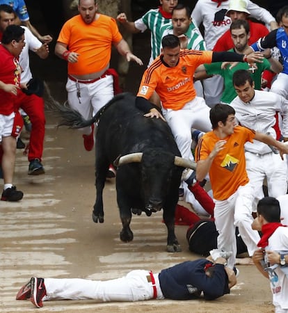 Los toros de la ganadería gaditana de Jandilla entran a la Plaza de Toros de Pamplona en el quinto encierro de los Sanfermines 2017.