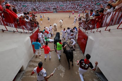  Los toros de la ganadería de Fuente Ymbro entran en la plaza de toros de Pamplona. 
