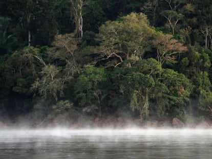 Imagem de um território da floresta amazônica no Pará.