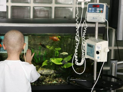 Una niña ingresada en la planta de oncología del Hospital de La Paz de Madrid.