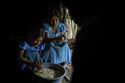 Dora Súchite y su hija Tomasa, de la etnia maya chortí, pelan maíz para preparar tortillas, la base de la comida guatemalteca. En los últimos años de cambio climático, han perdido más de la mitad de su cosecha de frijol y maíz. 